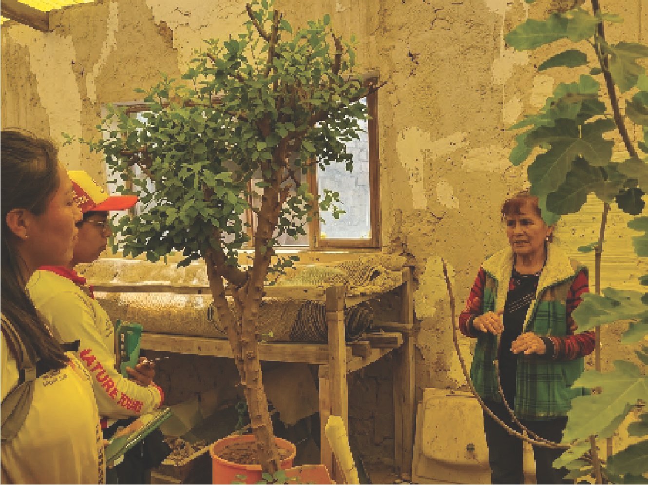 Formación de Brigadas y Educación Ambiental